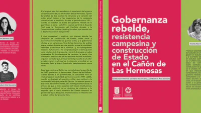 Gobernanza rebelde, resistencia campesina y construcción de Estado en el cañón de Las Hermosas: un análisis de las dinámicas de la violencia política y los conflictos territoriales de la pacificación featured image